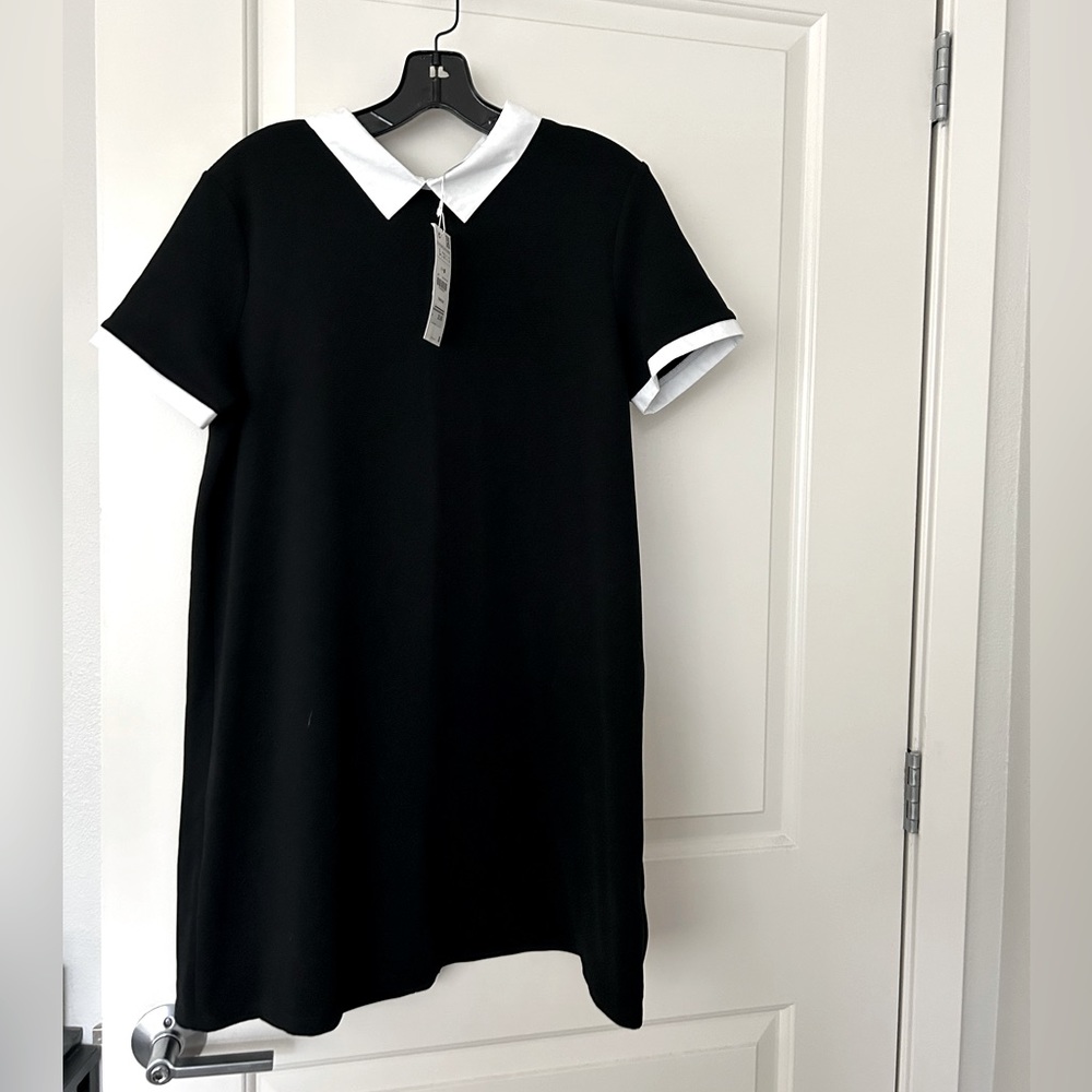 ZARA black shift dress with collar